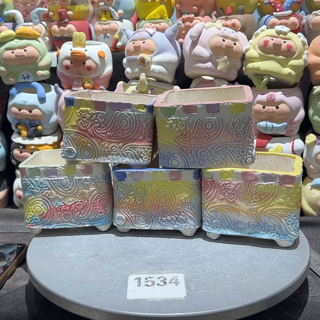 十一年守 一盆独韵