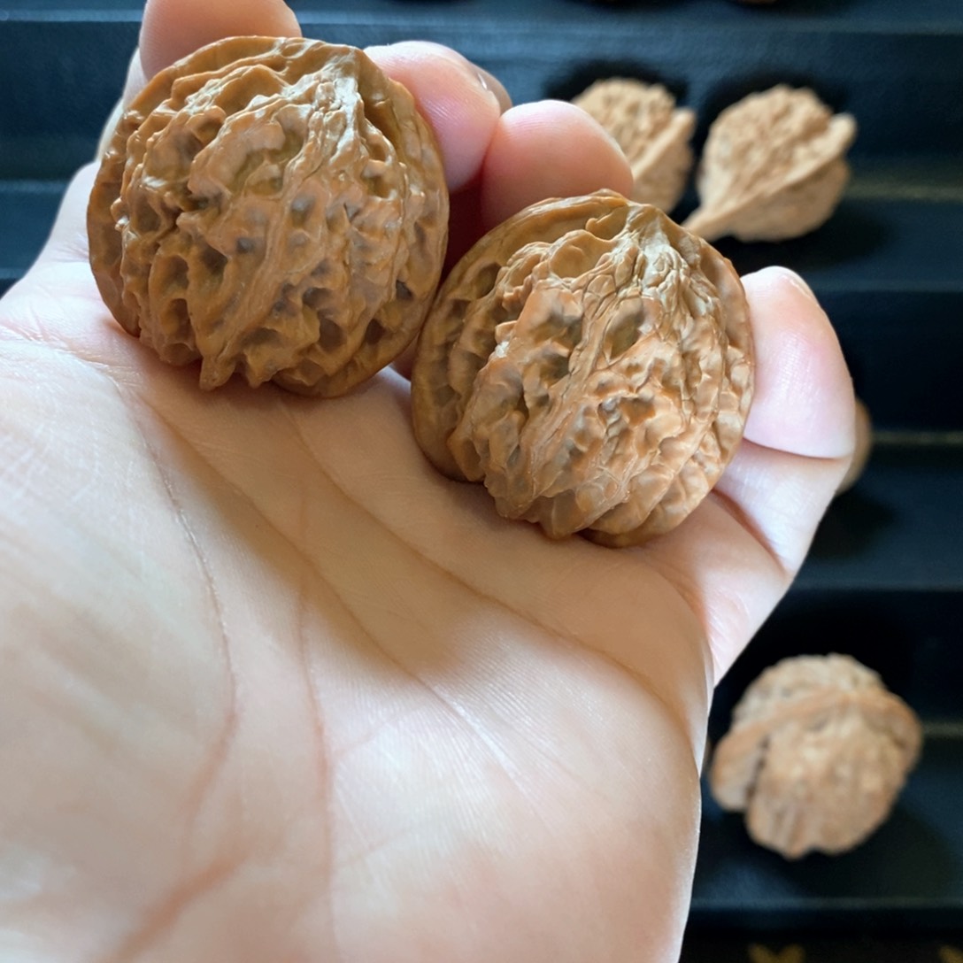 桃核把件山地一代老苹果园38