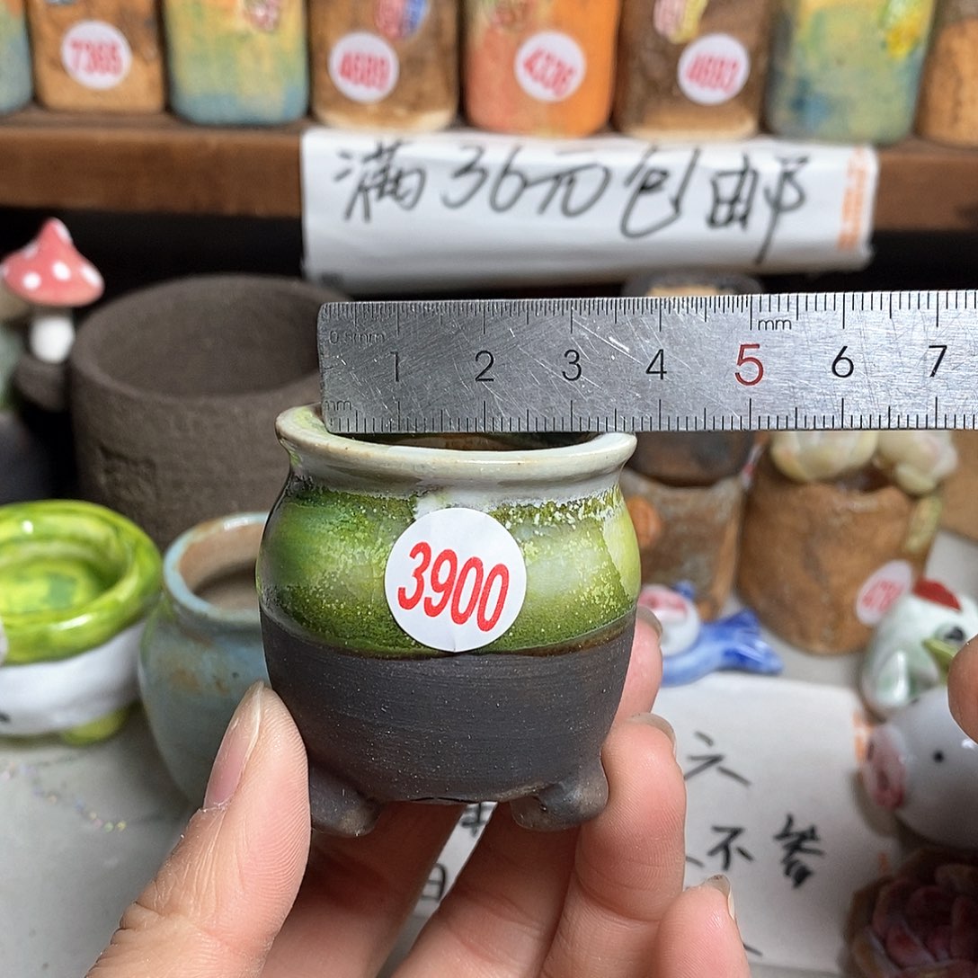 红陶拍5送一个小