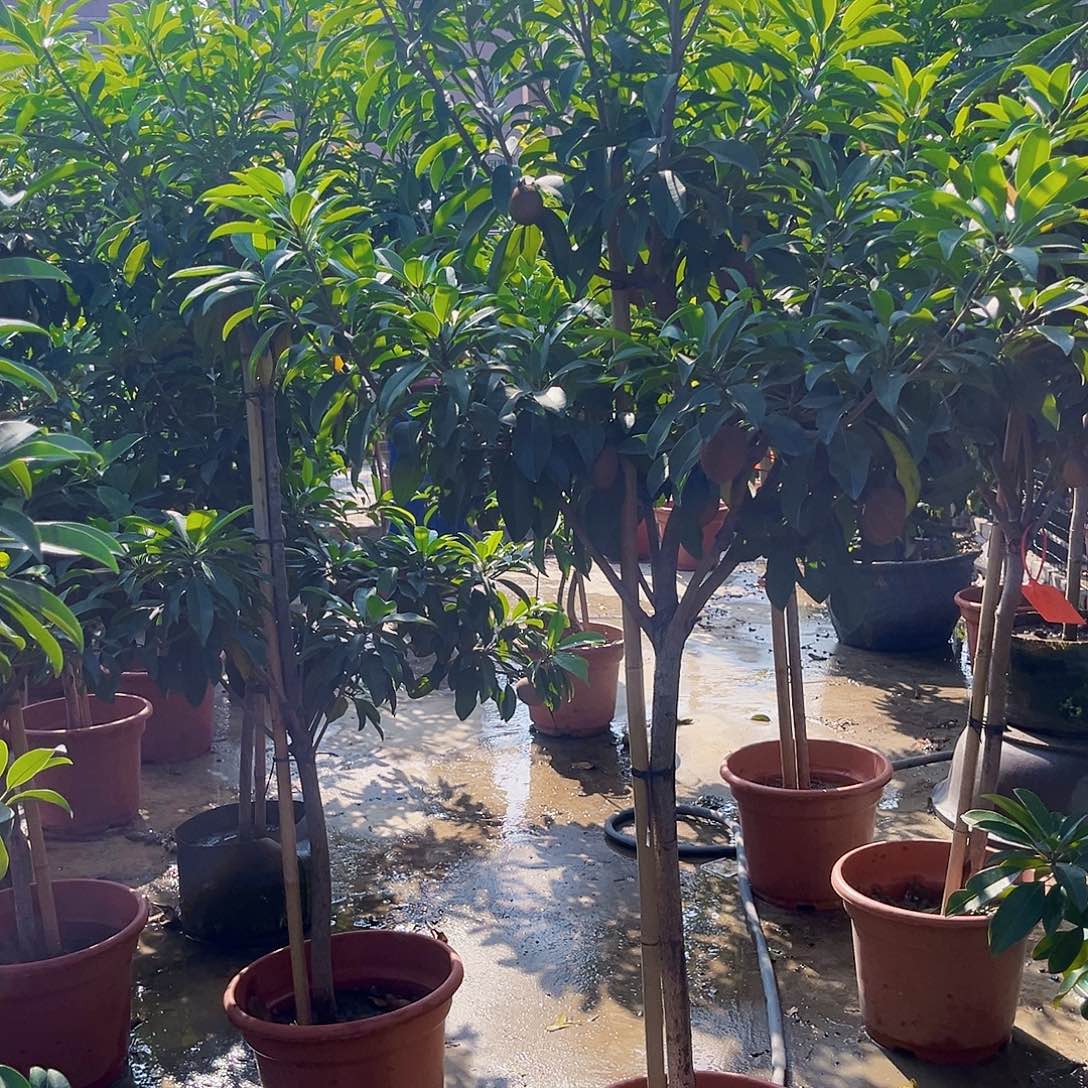 ****️完全开放247899753597347999999