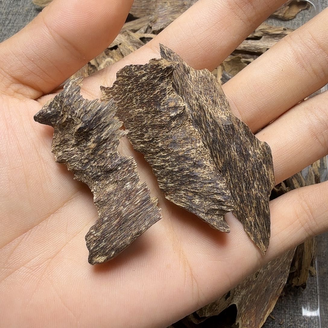 香榧木鸡母虫漏5克