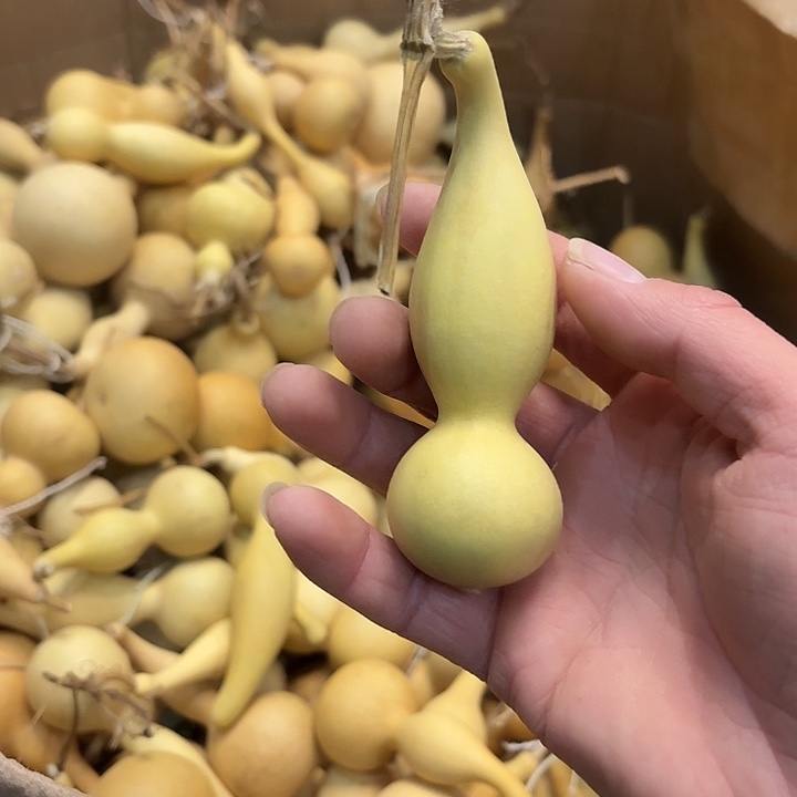绝***️合成树脂本捻葫芦手把件