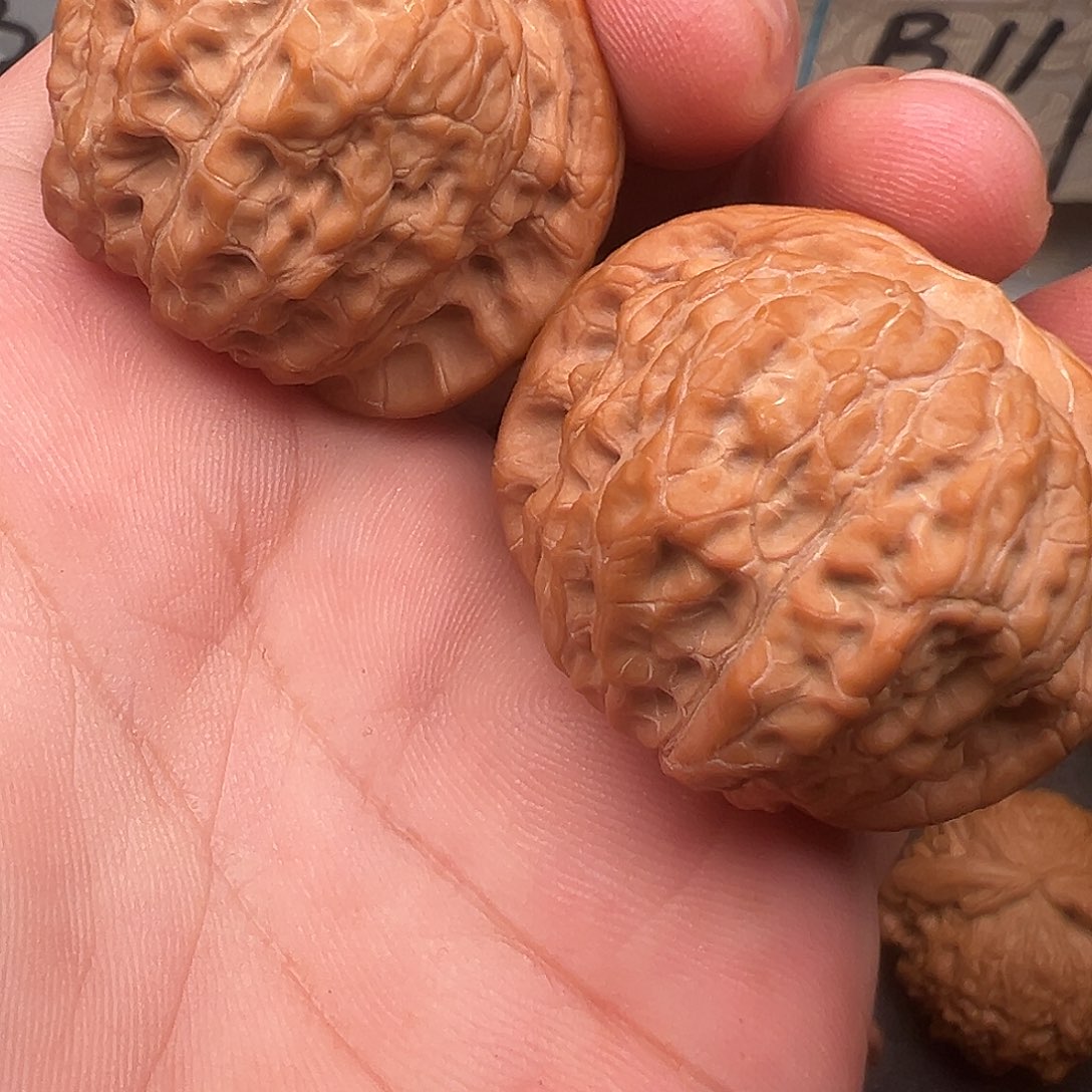 吊坠桃核全品血麒麟39
