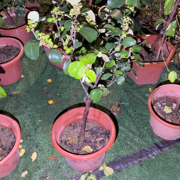 六***郎122222222222222222