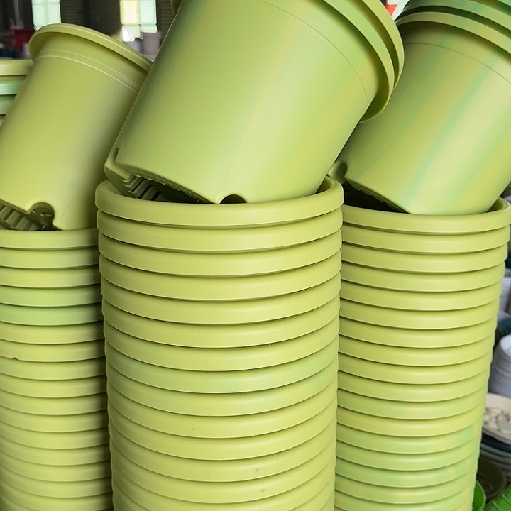 串色4#口径果绿10个无托缺口