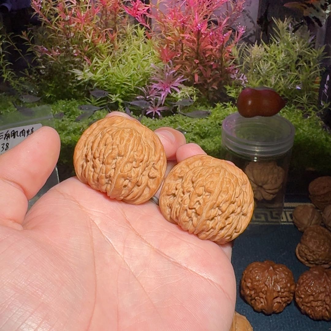 024号40山西汉高楼文玩核桃