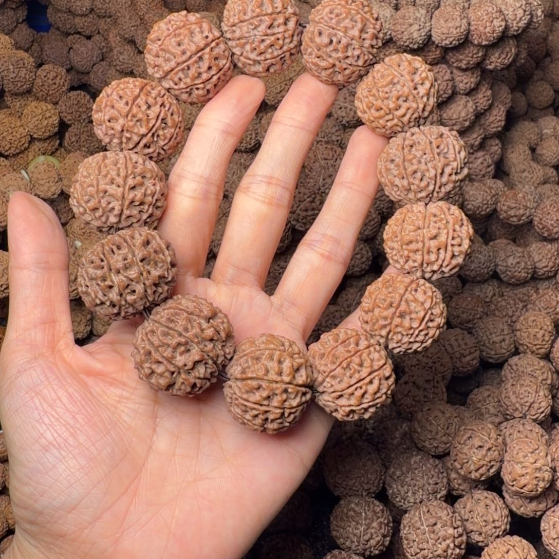 手串金刚菩提10瓣卡27尺，82号
