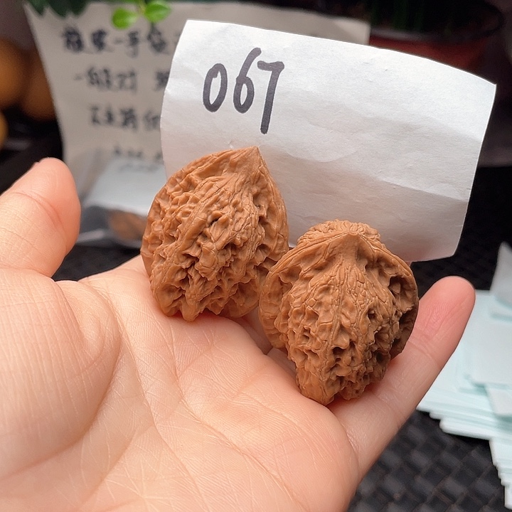 35尺寸练手对白茬观音渡