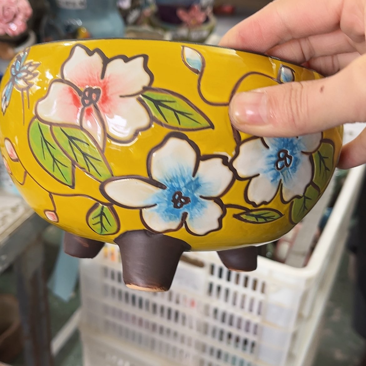 【闪购商品】红陶福利