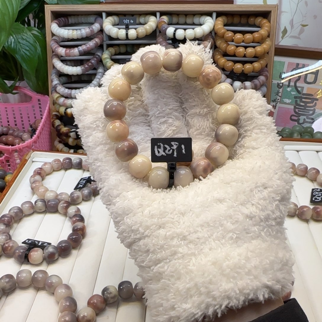 吊坠菩提根/象牙果全品291