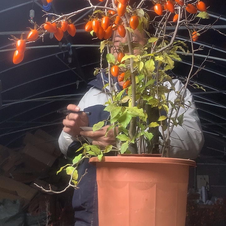 星***光无花朵我们的目标