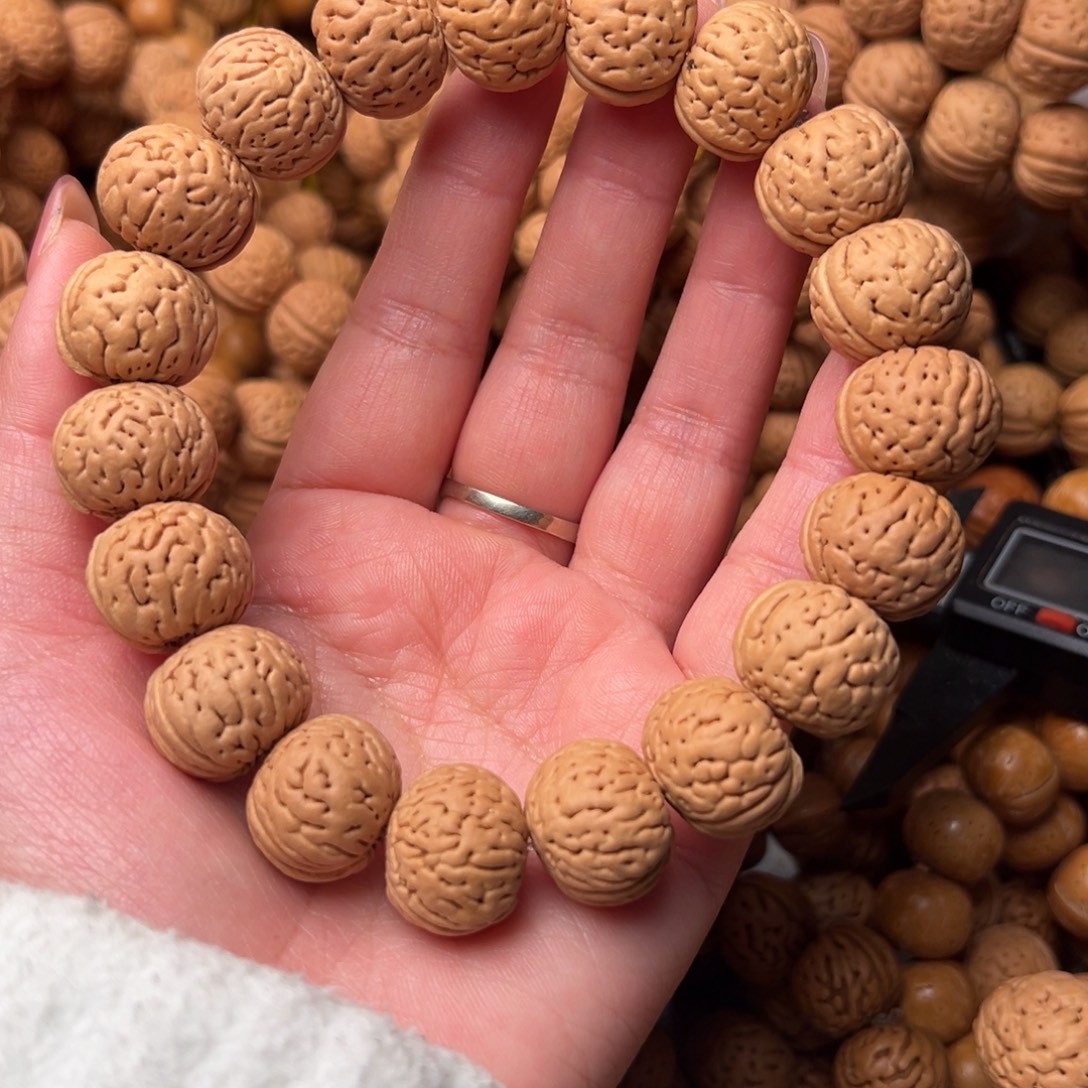 17➕尺寸野生铁扇桃核