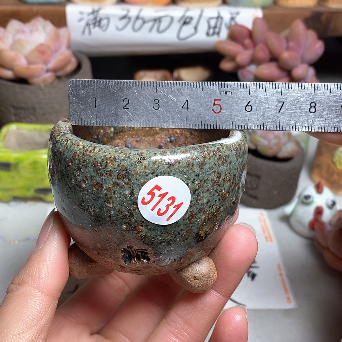 红陶拍5送一个小