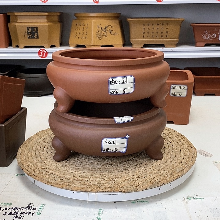 紫砂花盆今天下午