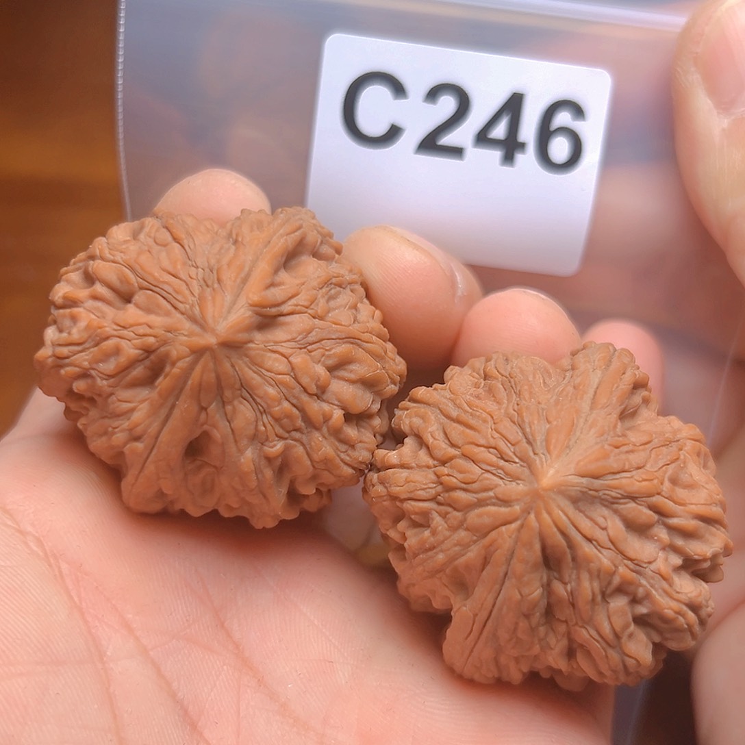 文玩核桃吊坠43大沽石