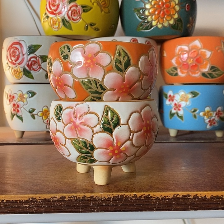 韩式多肉植物花盆