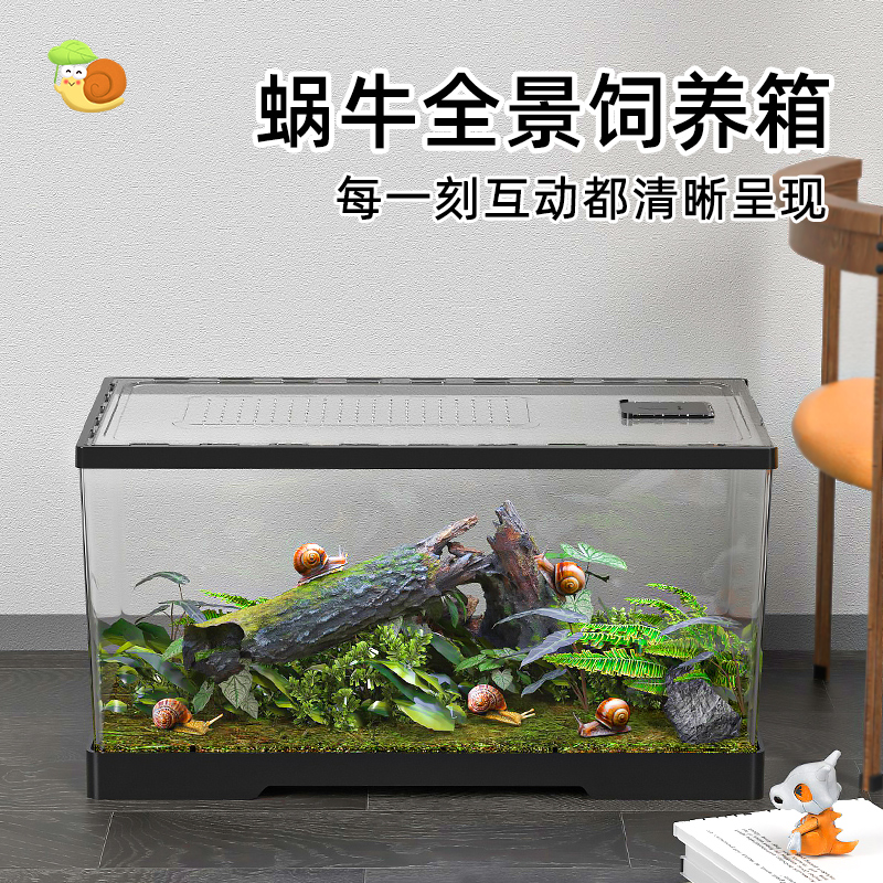ZUIMENG/最萌爬宠饲养箱守宫角蛙蛇亚克力透明全景生态蜗牛饲养盒