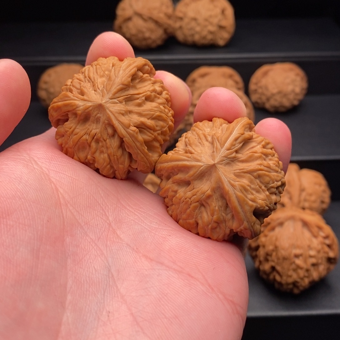 文玩核桃把件40御龙