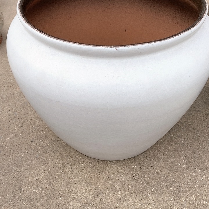 红陶31/31dgfgffggg