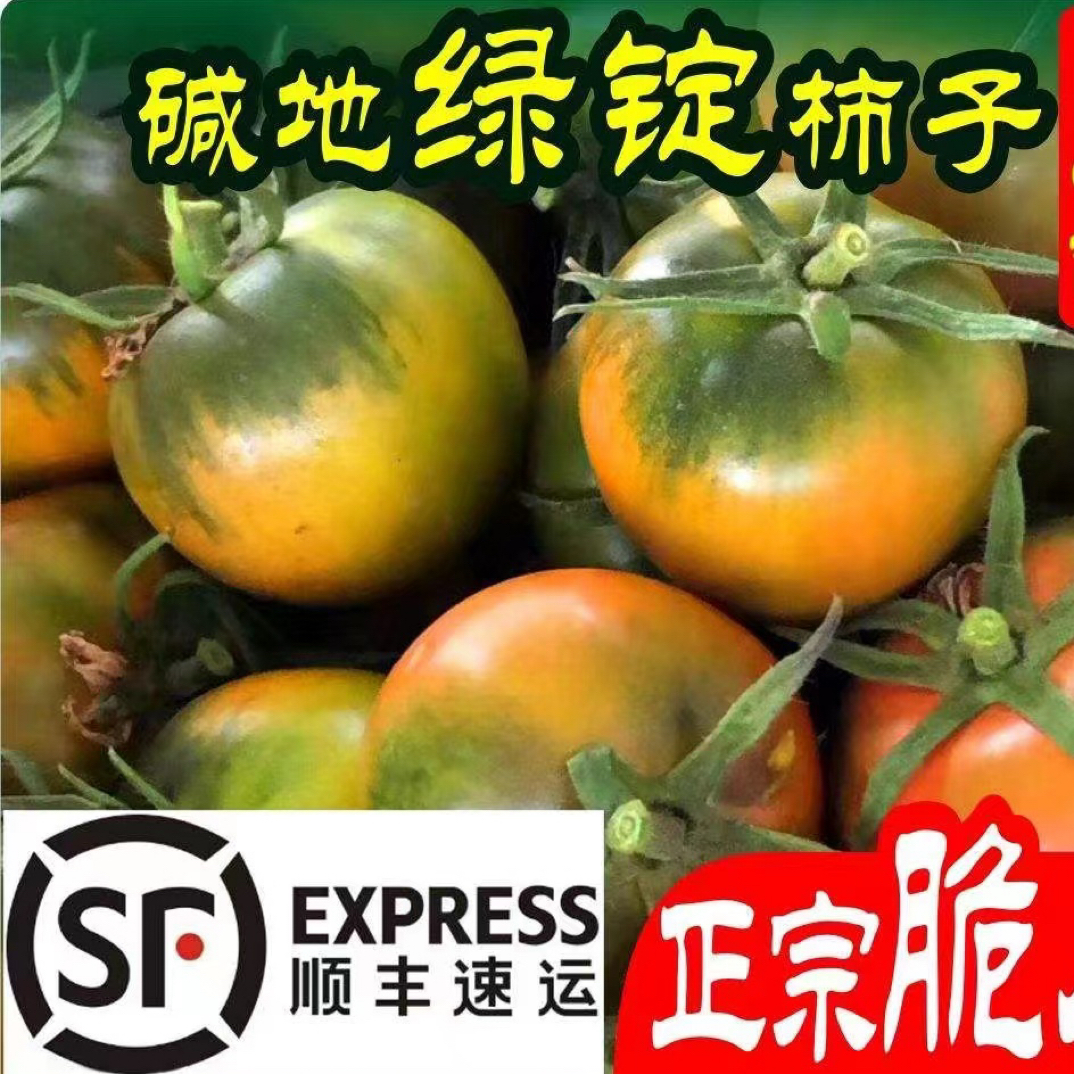 【中果】老味道盘锦碱地西红柿 草莓西红柿 顺丰快递