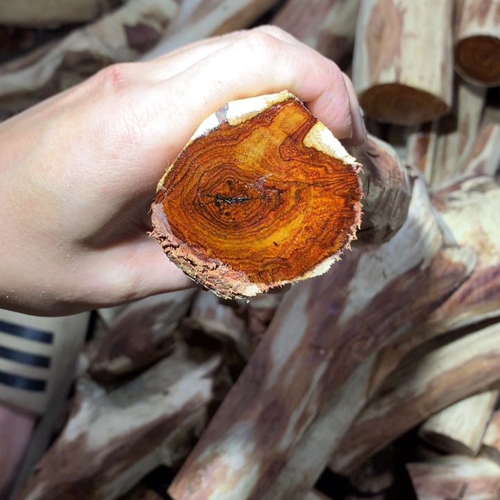 花梨木类海南黄花梨