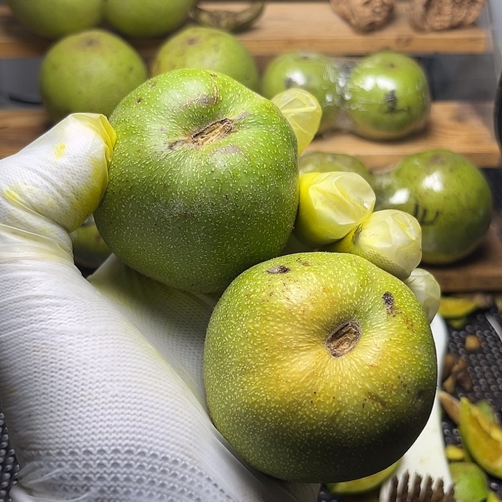 核桃手串/手链楼子