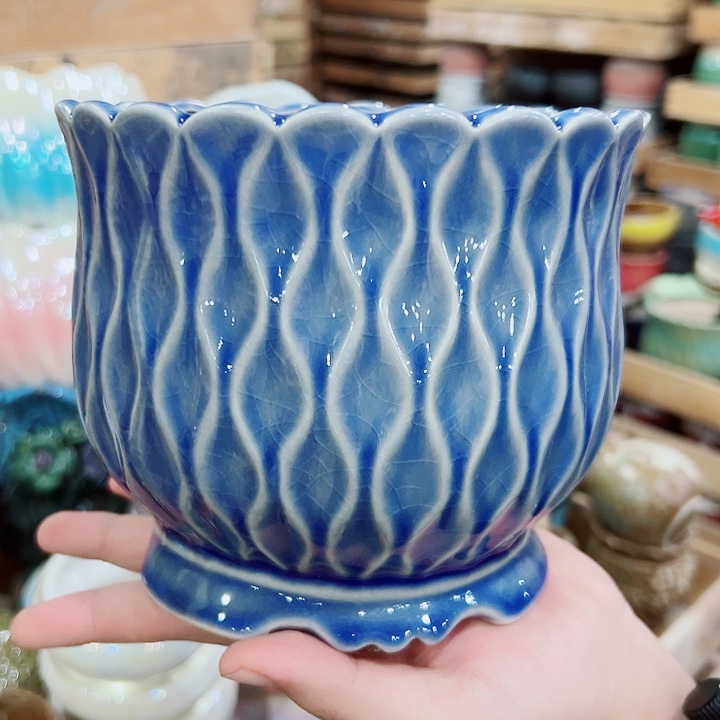 花盆有孔！订单凑满10米包由！