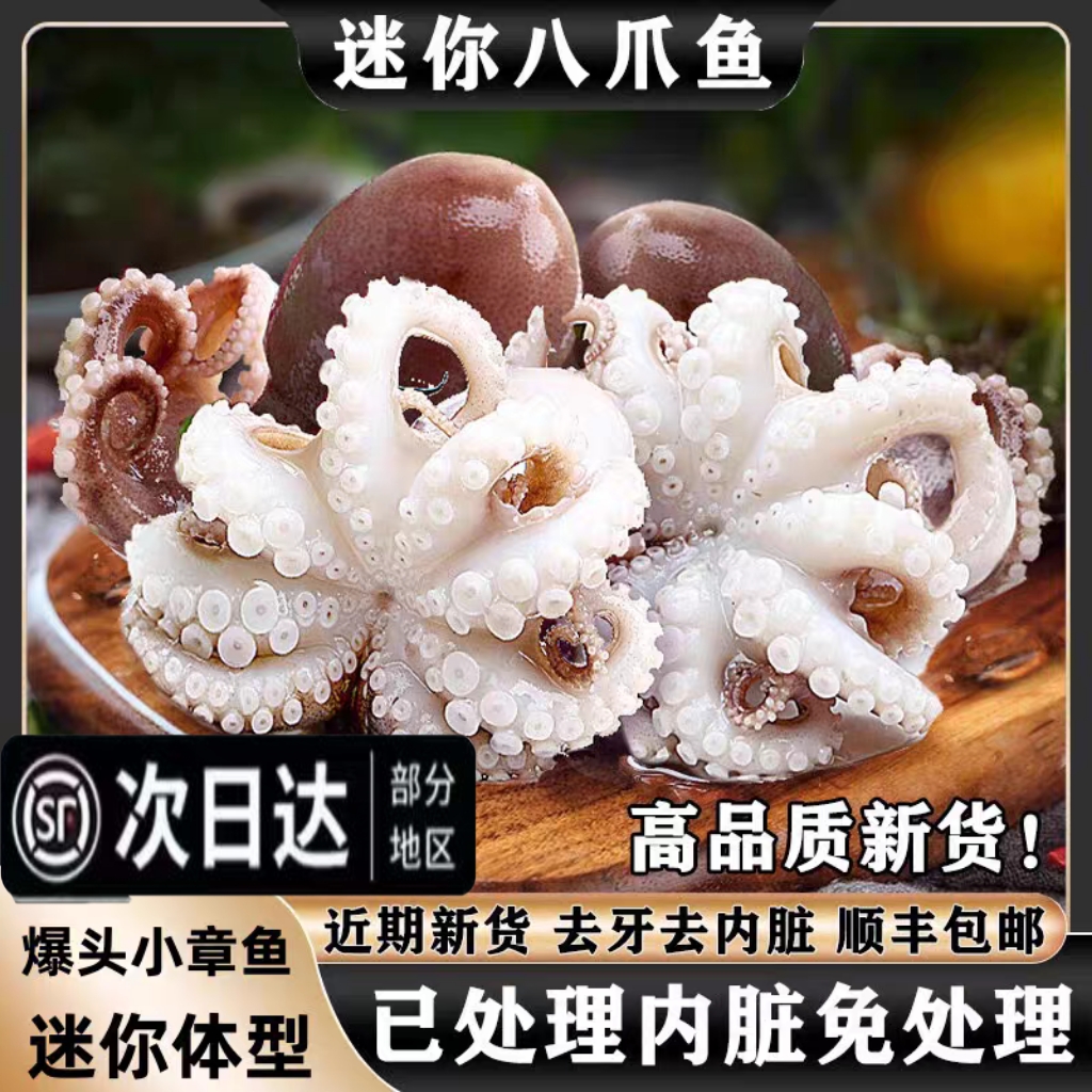 迷你八爪鱼鲜活冷冻免处理新鲜网红爆头短腿小章鱼去内脏水产商用