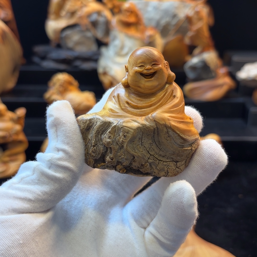 坐***起柏木1111111111111111