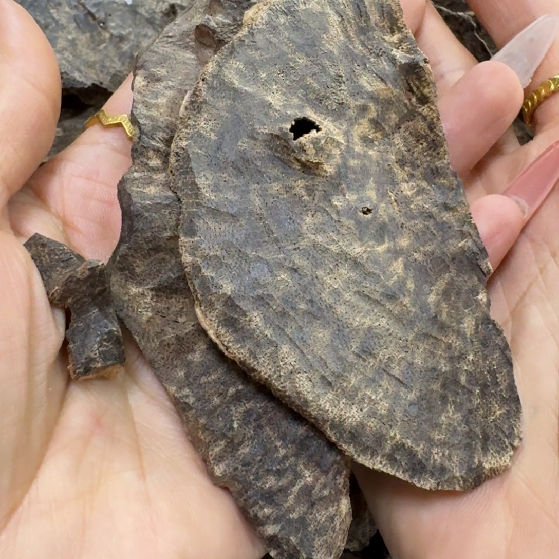 鑫***垚沉香碎屑沉香海南沉香包头20克