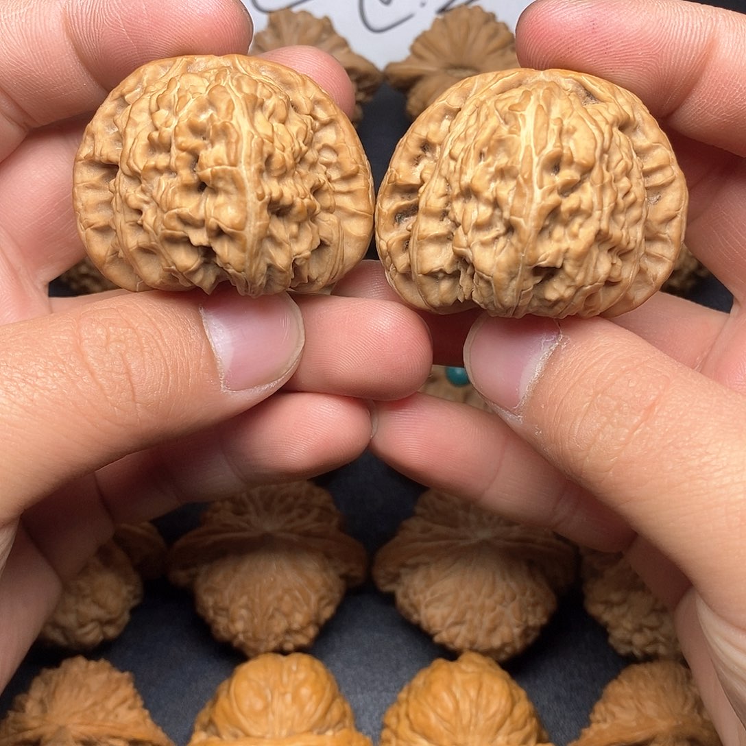 文玩核桃把件44.5白狮子红皮