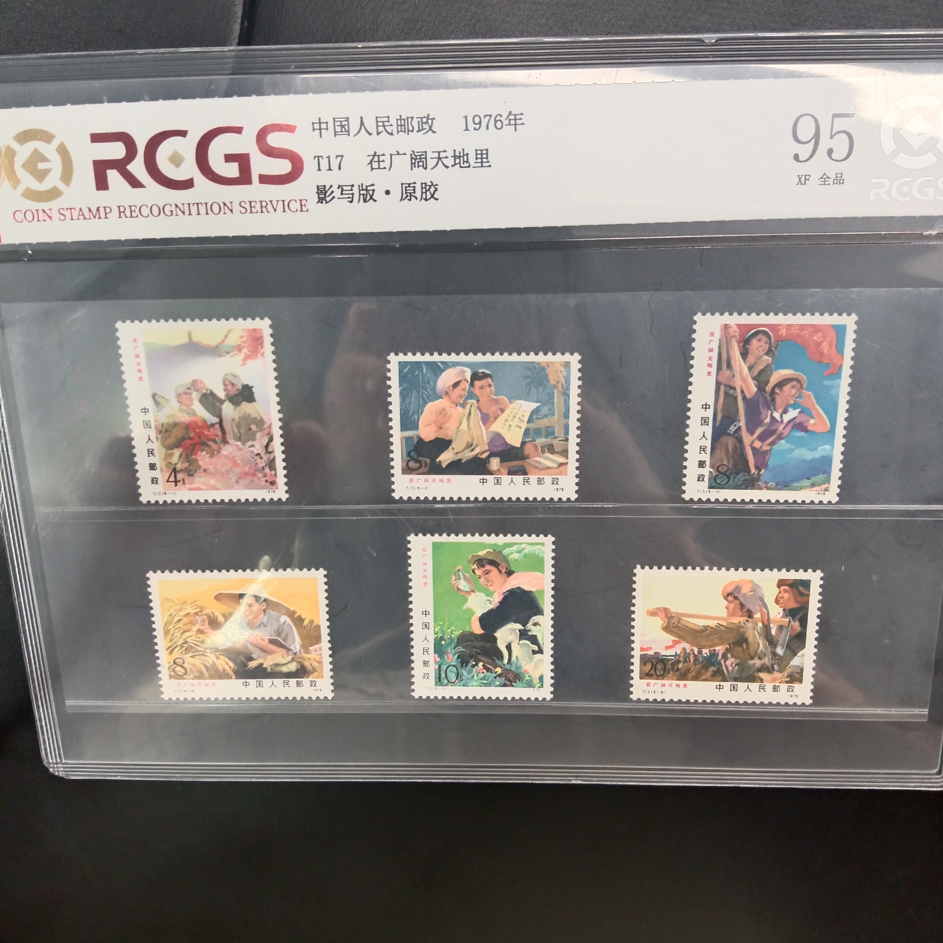 T17在广阔天地里邮票95原胶全品1976年发行