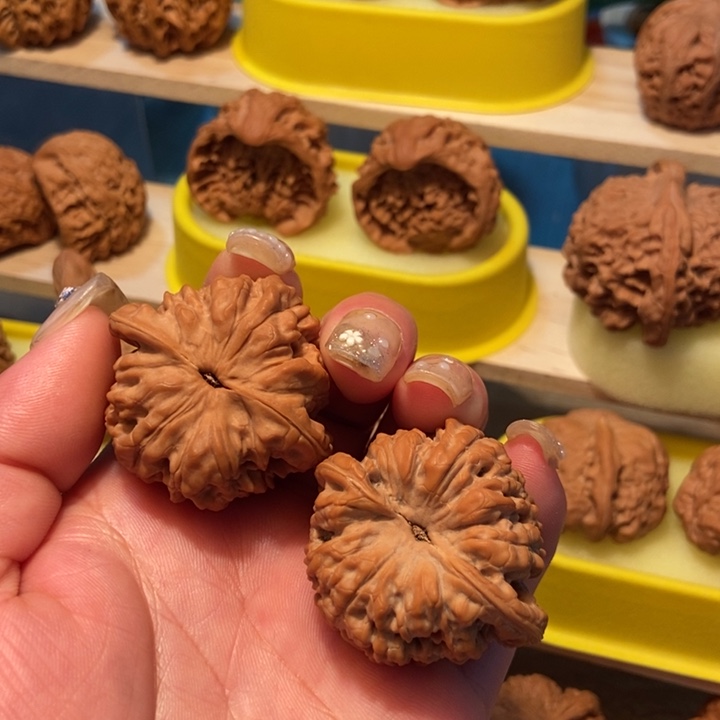 官方网站发布消息