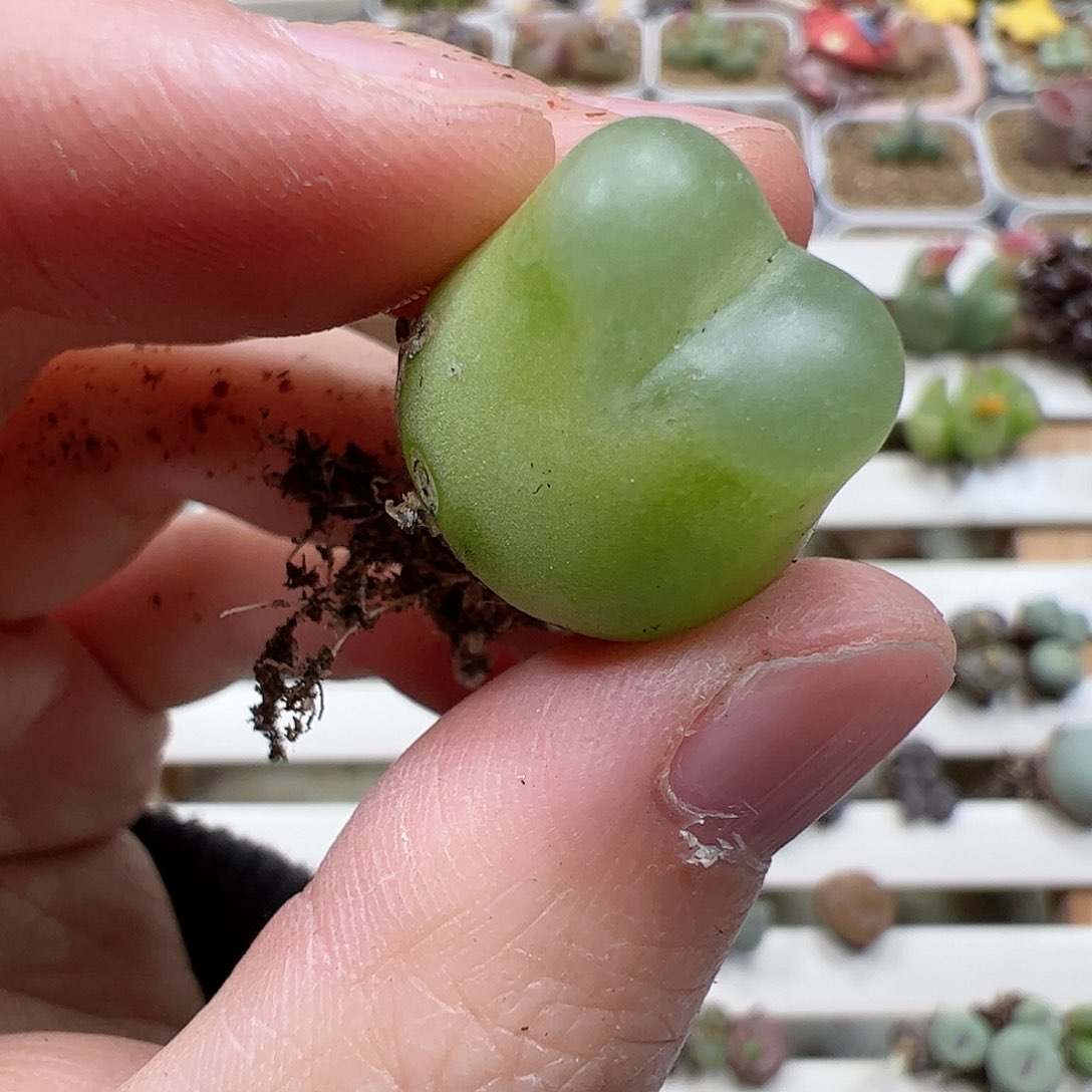 【闪购商品】287 秒