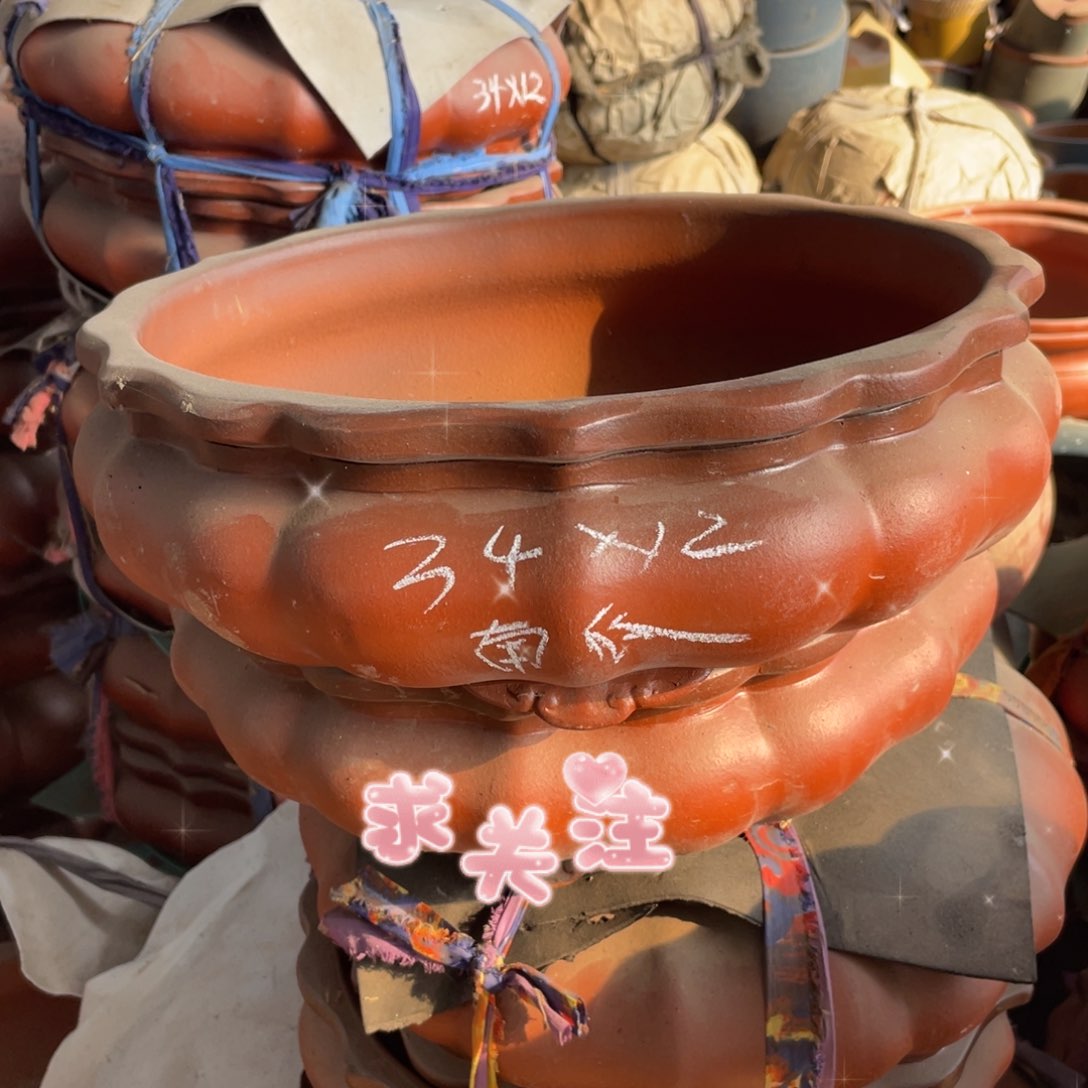 紫砂南瓜 34*12 一组俩支