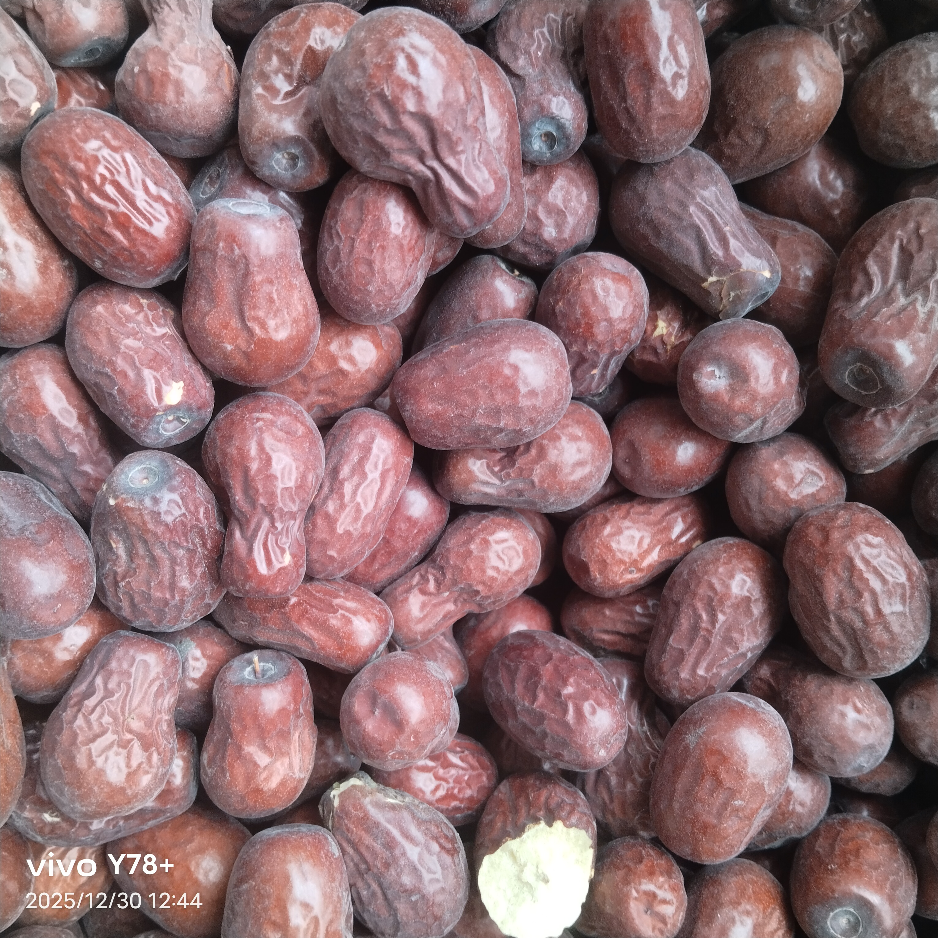 新疆新下树和田大枣小丑果，2一3公分左右，无添加，包邮