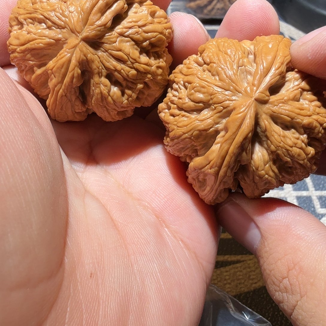 文玩核桃把件大粗筋