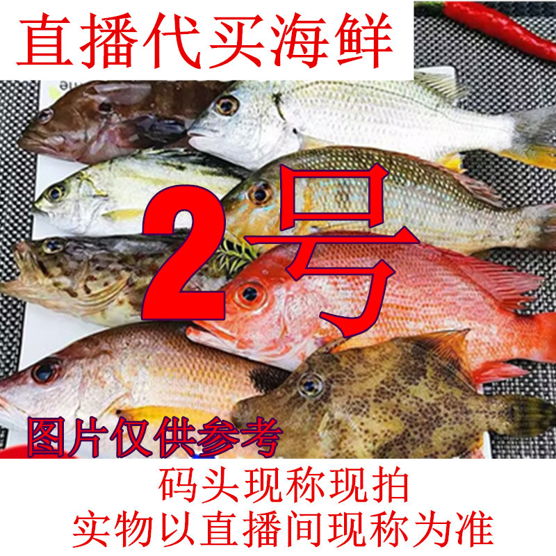2号北海码头直播代买海鱼虾海捕海鲜（现拍现称 速冻顺丰发货）
