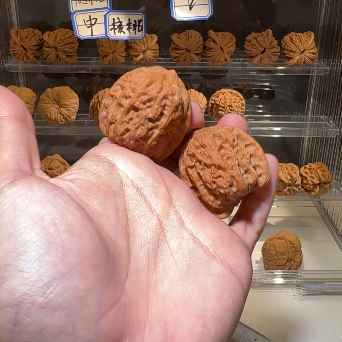 文玩核桃吊坠11122222222