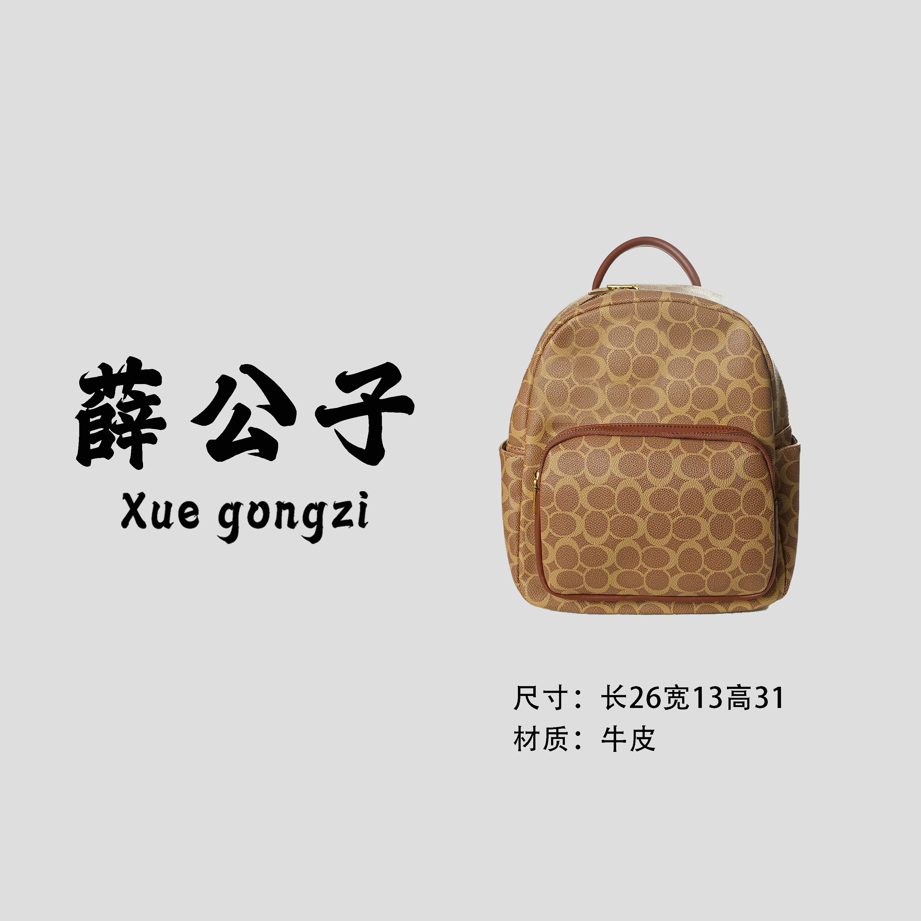 【薛公子】新款时尚百搭女士手提双肩包IF261361-棕色(假一赔四)