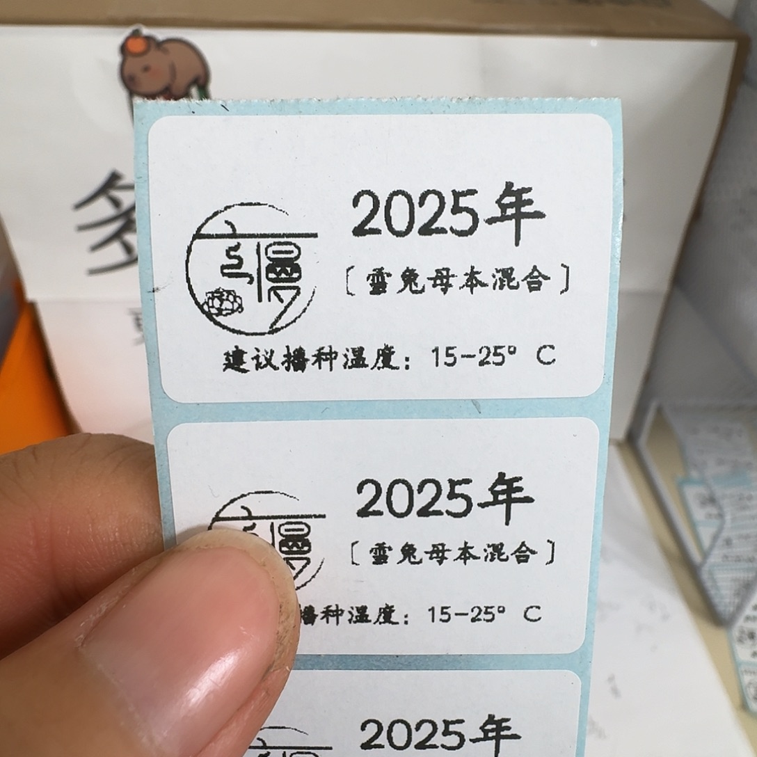 2025年糖心珍妮系杂交种子雪兔母本混合20粒不包出芽率