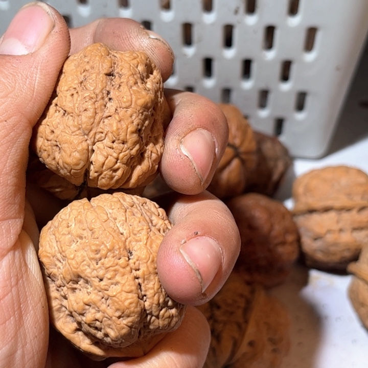 文玩核桃吊坠.****.滇西61