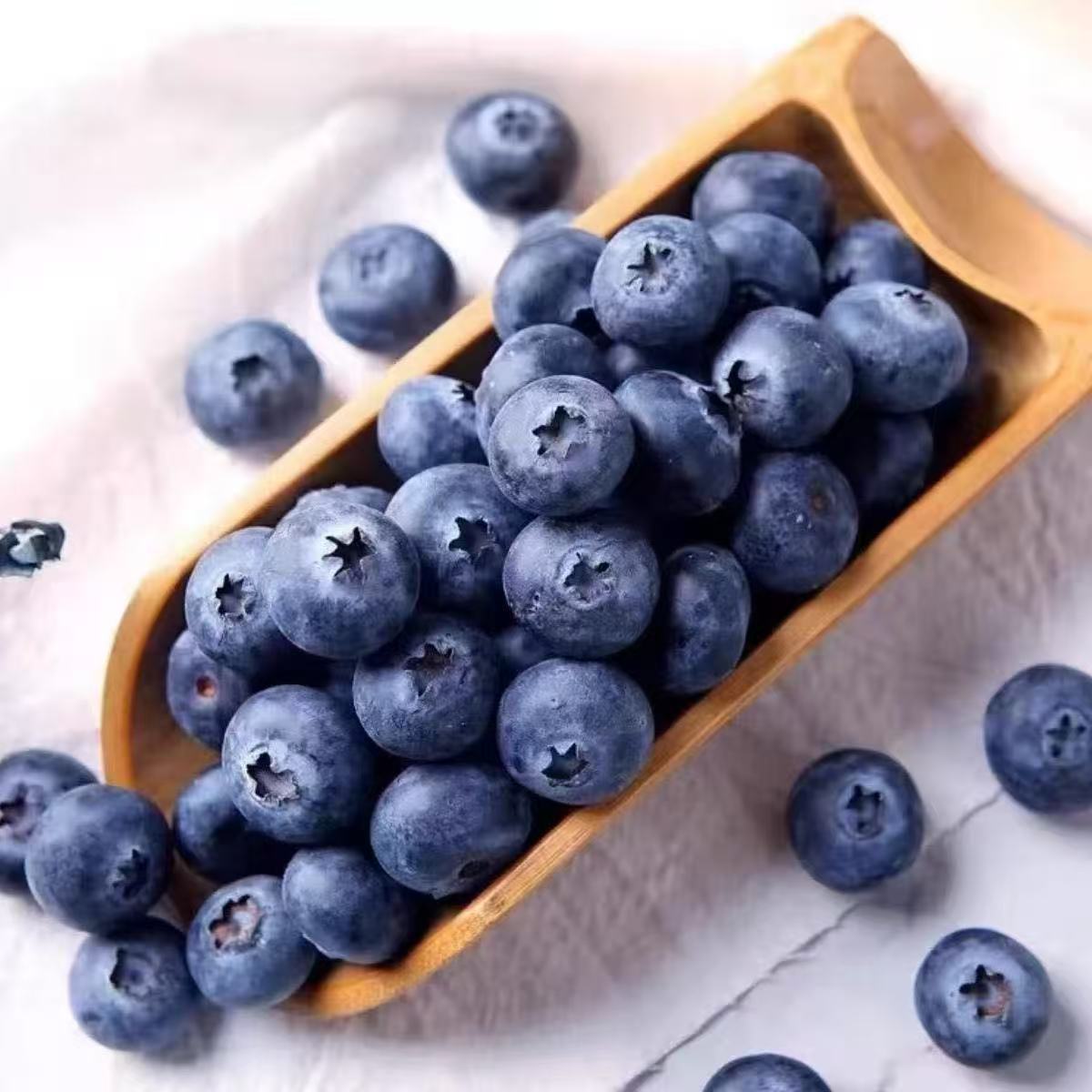 （20+mm果王）脆甜花香蓝莓云南现摘现发肉厚脆甜多汁十盒京东直发