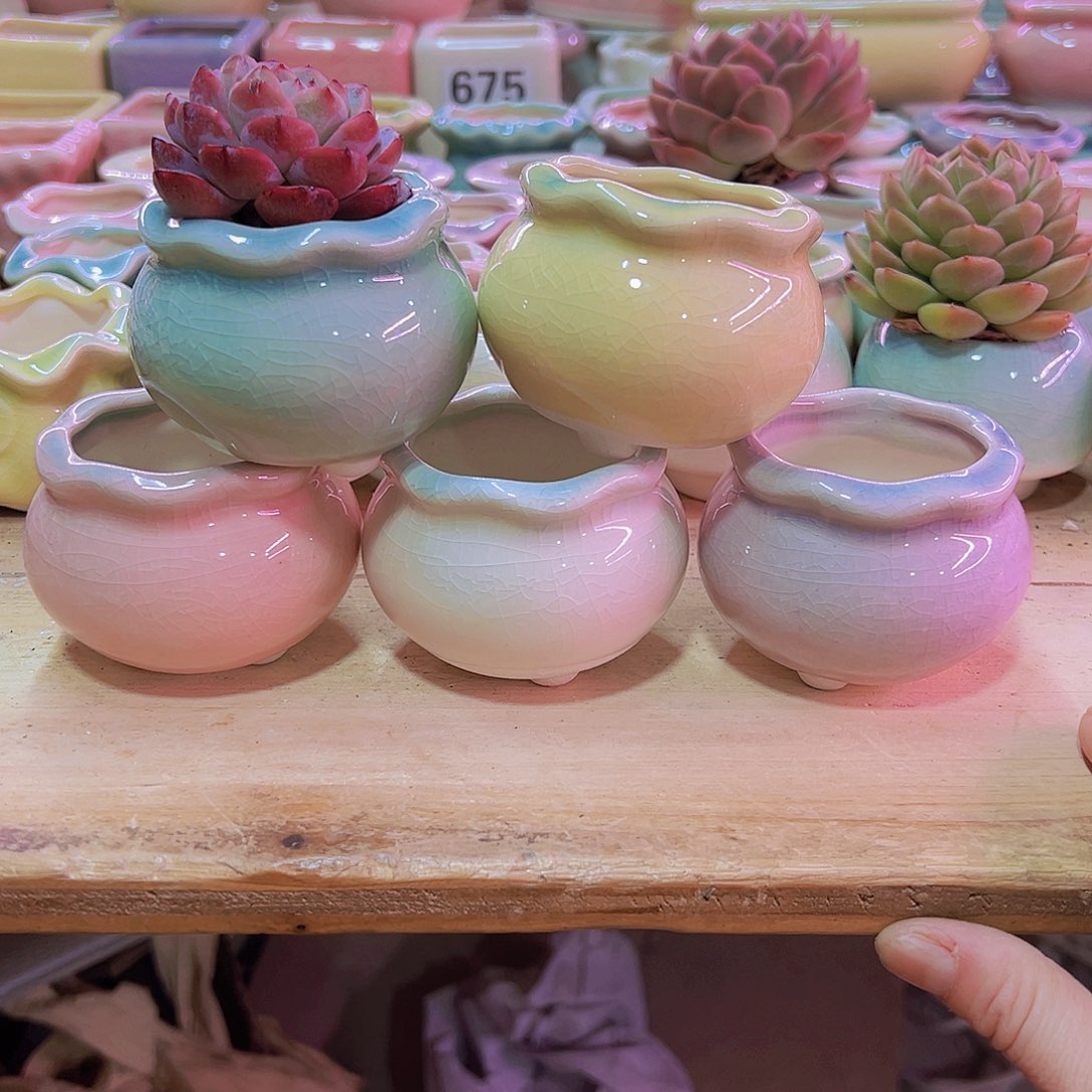 陶瓷花盆当场凑满12包邮