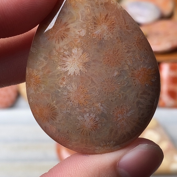 T***y硅化玉未镶嵌颈饰