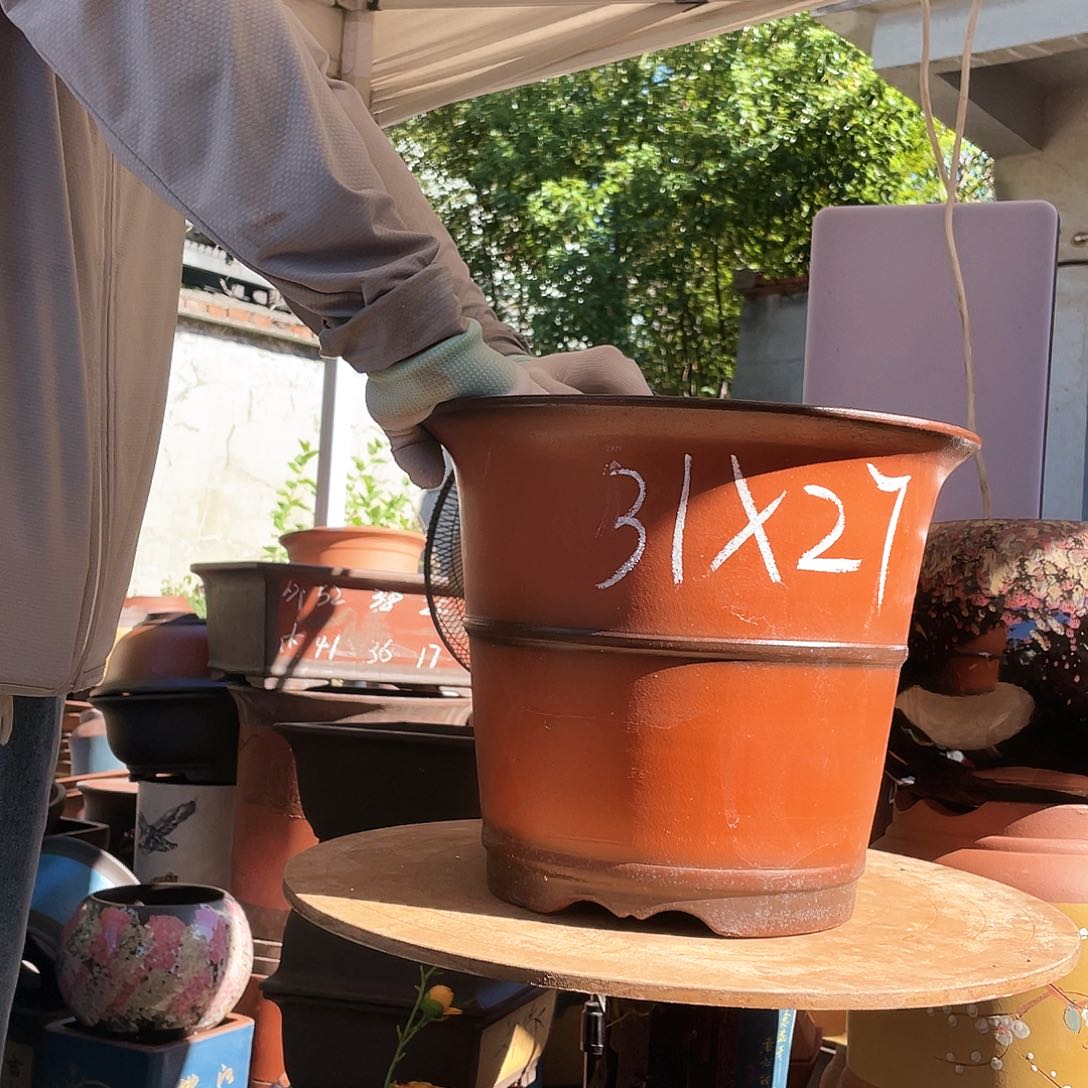 31仿古种树花盆紫砂花盆紫砂