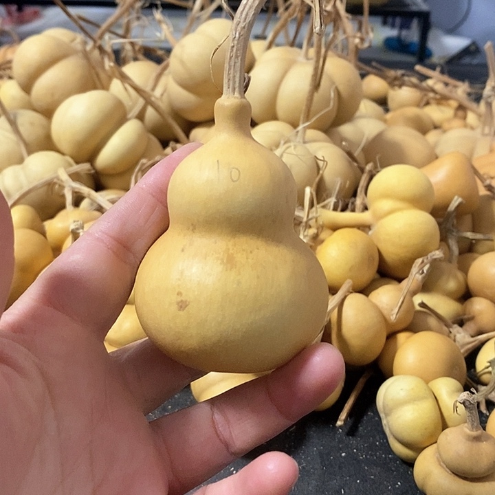 葫芦的颜色微色差