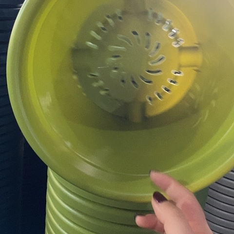 树脂四季4号果绿无托10个