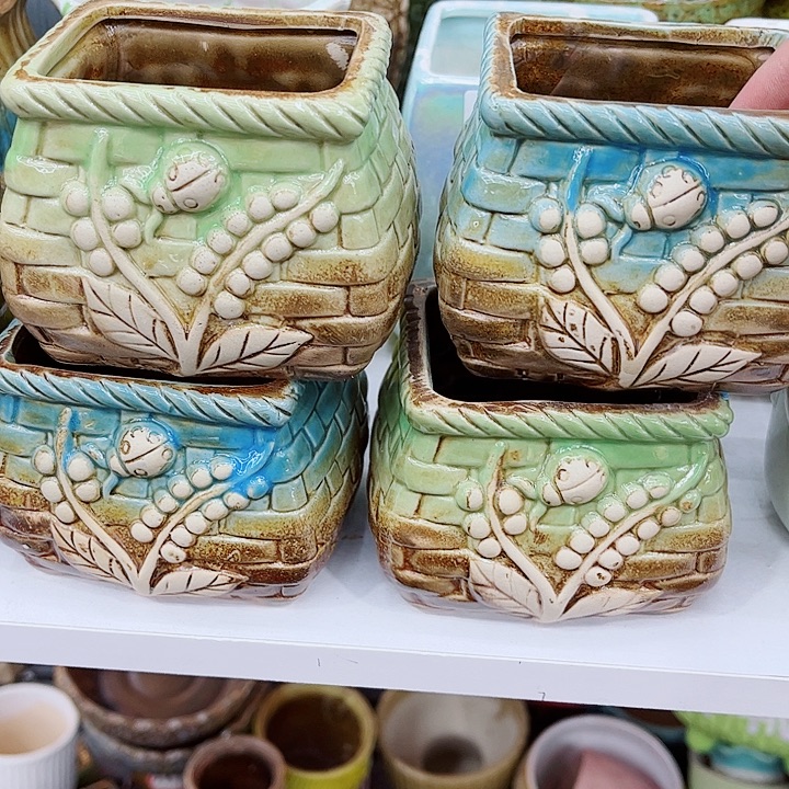 多肉植物陶瓷花盆