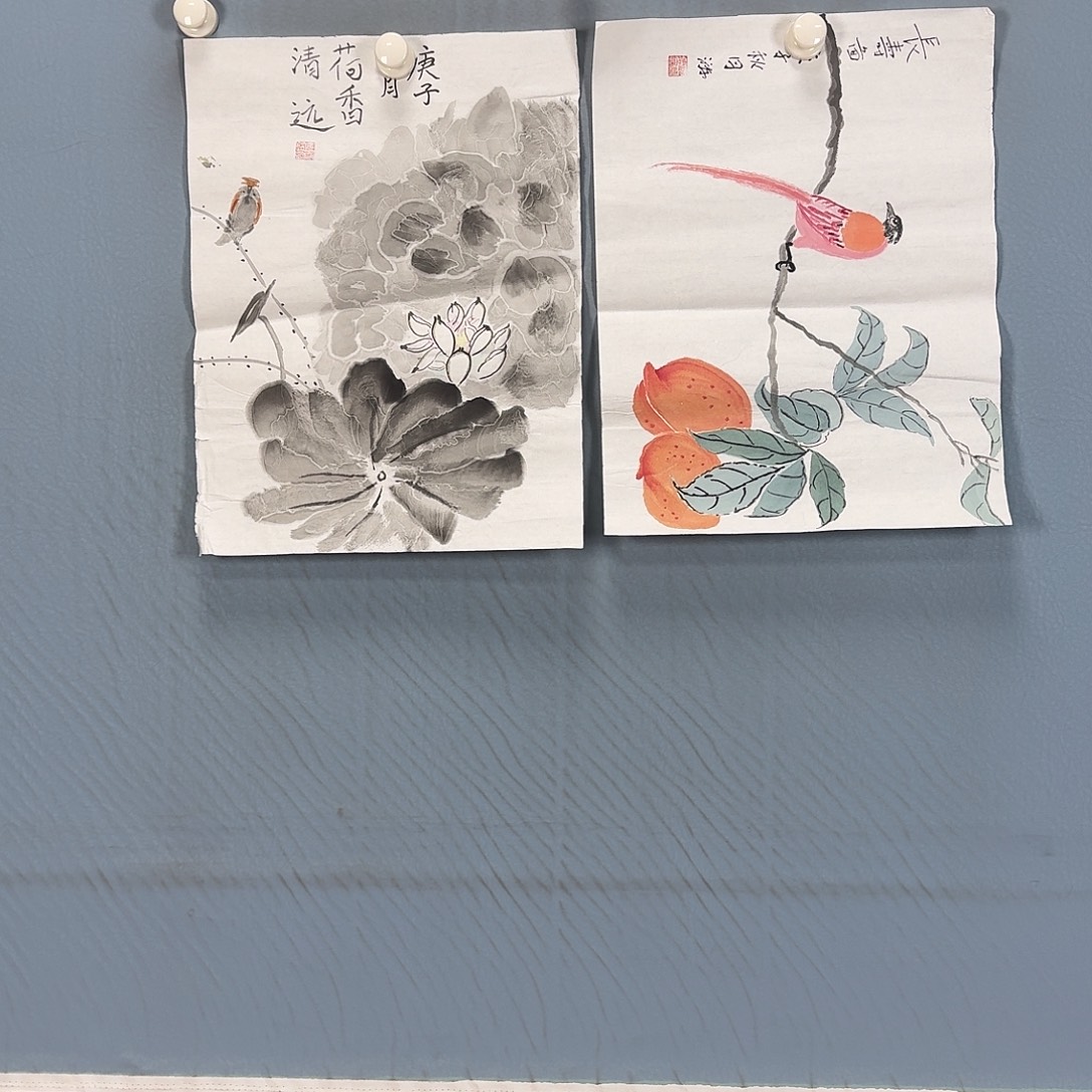 国画237 牡丹一如您初来乍到